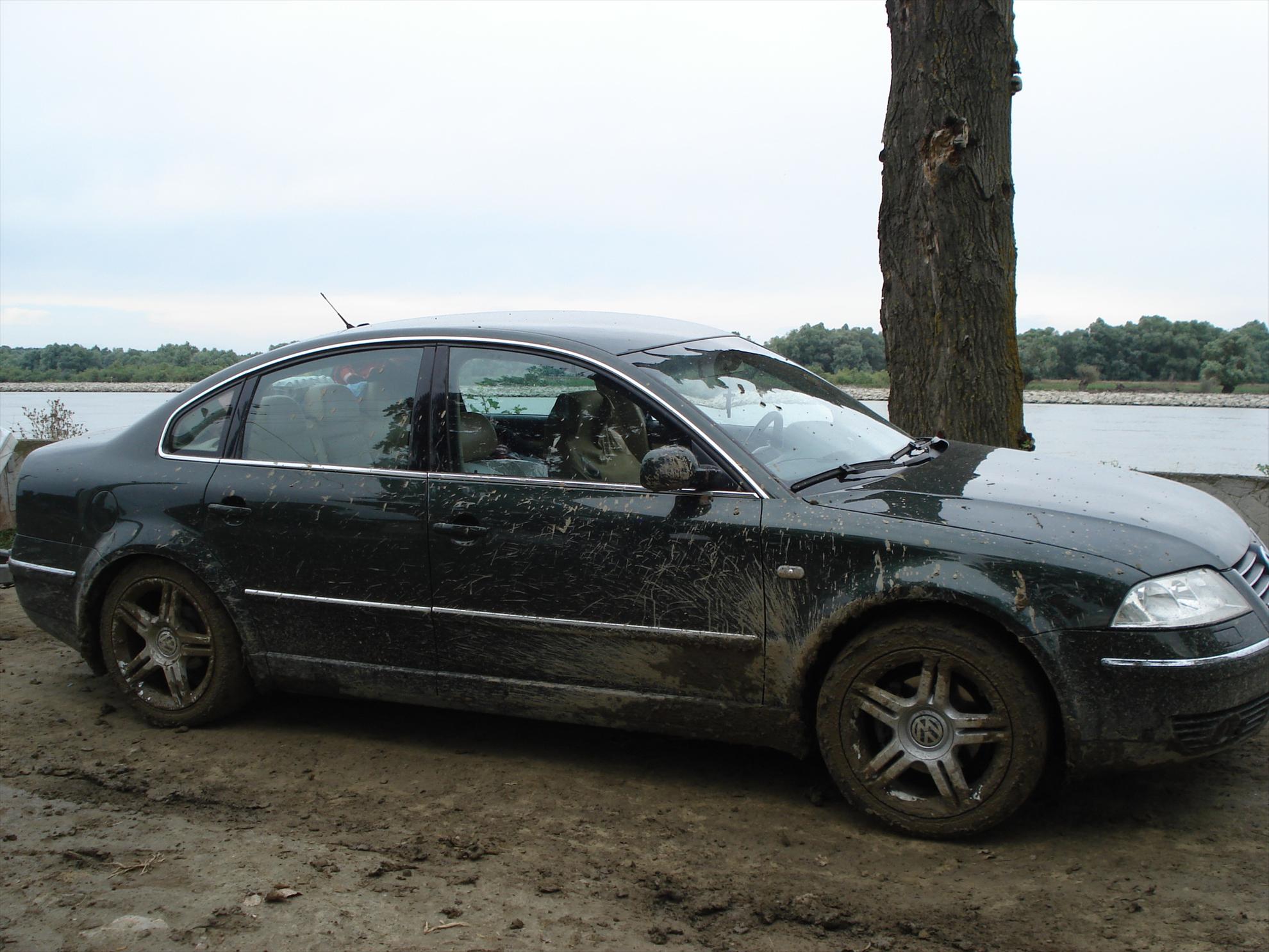 De prin delta adunate - dsc02792.JPG